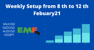 Weekly Setup from 8 th to 12 th Febuary21 XAUUSD.NZDUSD.